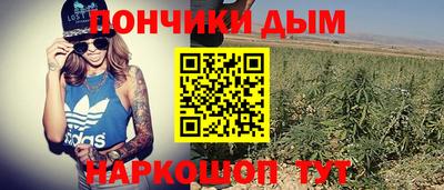 прущие грибы Конаково