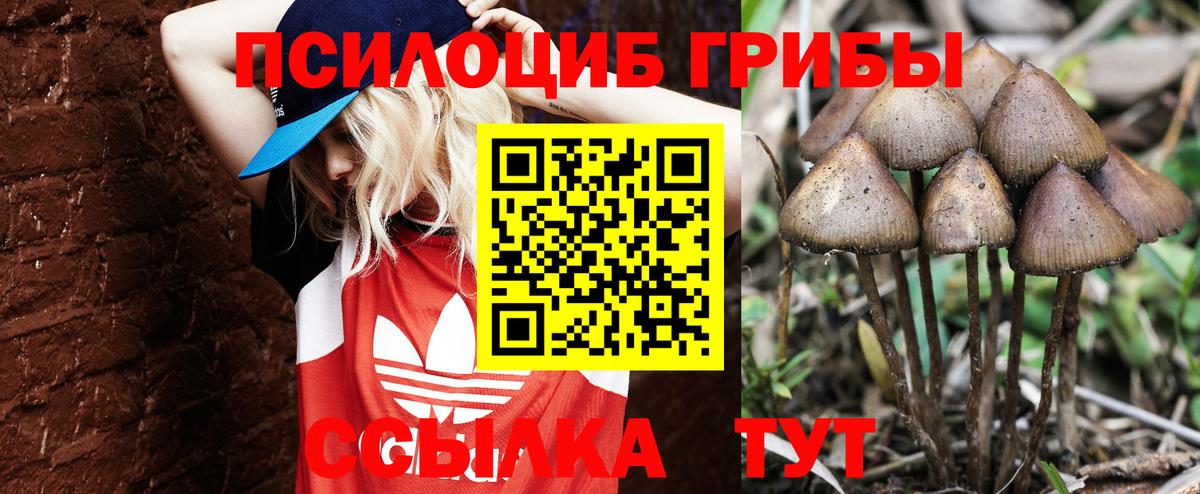 Псилоцибиновые грибы Psilocybine cubensis Комсомольск-на-Амуре