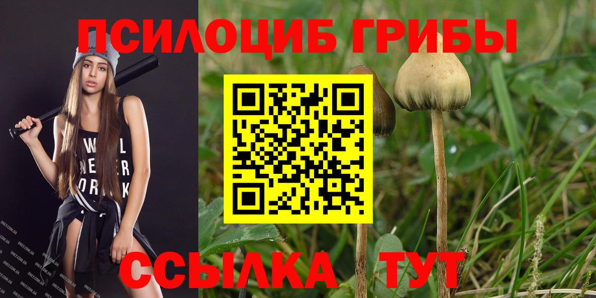 Псилоцибиновые грибы мухоморы  Вход с VPN  Комсомольск-на-Амуре 